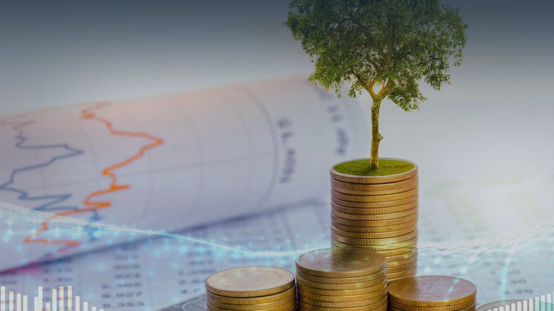 新能源项目可研报告：标准格式与关键要素解析